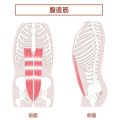 ピアサポーターの養成と研修制度：日本の最新動向