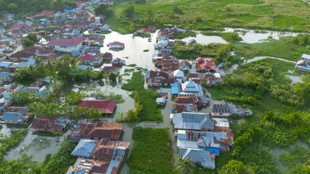 災害時における地域包括ケアとリハビリテーションの役割