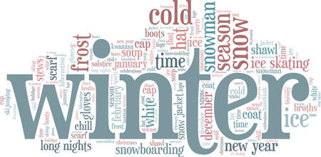 現場の現状:制度・資源上の制限