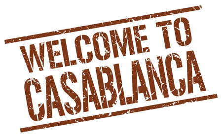 日本の作業療法士が活用する手指・上肢リハビリの最新アプローチ