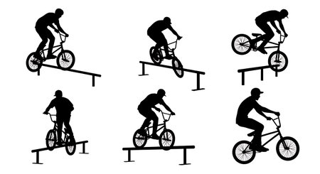 地域包括ケアにおける骨折後リハビリの取り組み：多職種協働の重要性